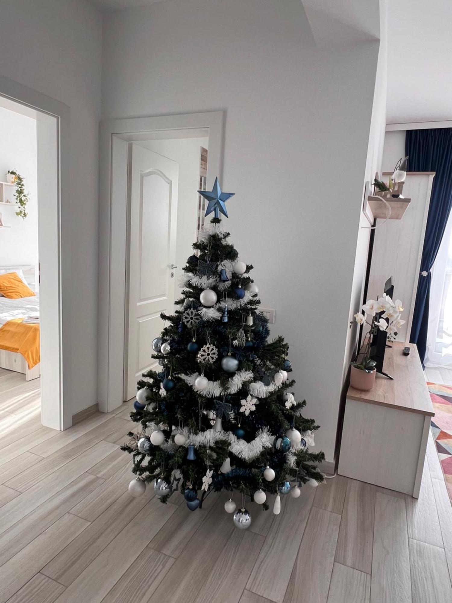 Karra Residence Timisoara - Autorizat Ministerul Turismului Timişoara Exterior foto