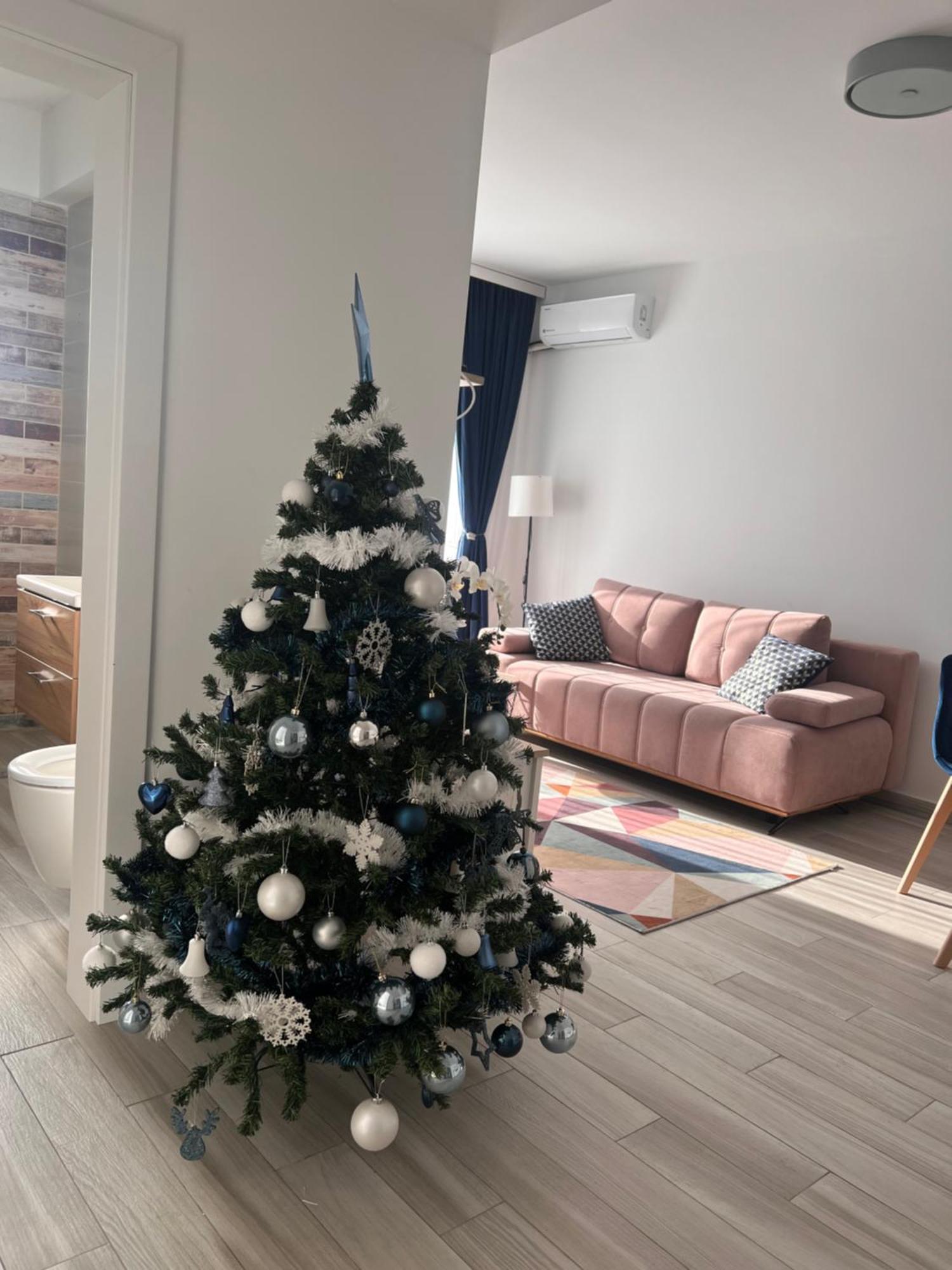 Karra Residence Timisoara - Autorizat Ministerul Turismului Timişoara Exterior foto